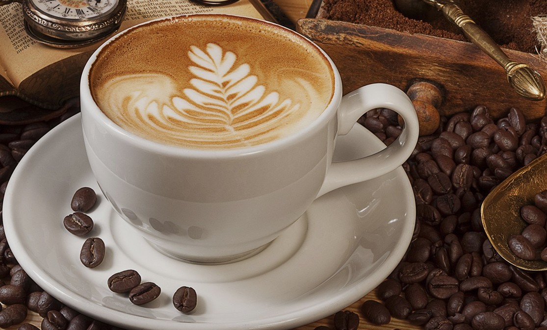 Morbi condimentum molestie Nam